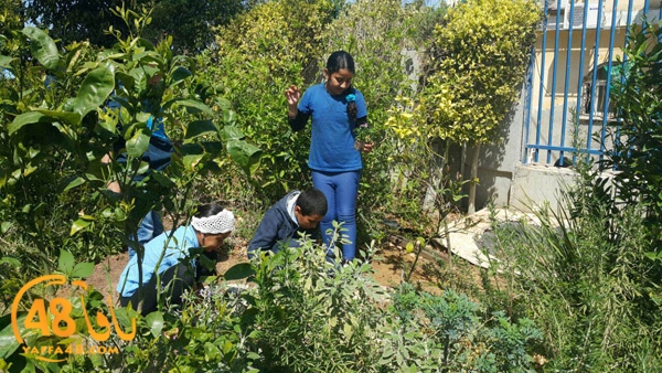 a3mal tayeba 7san3arafa (7).JPG